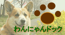 動物病院川越のわんにゃんドック