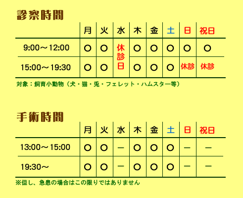 動物病院川越の診療時間と手術時間