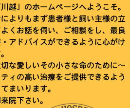 当院ではなによりもまず患者様と飼い主様の立場に立ってよくお話を伺います。