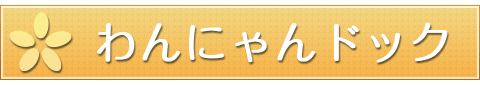 main_title