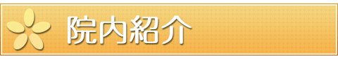 main_title