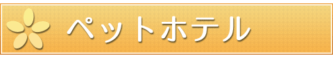 main_title