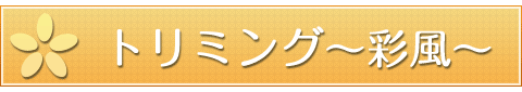 main_title