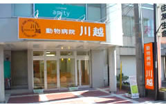 sec1_image
